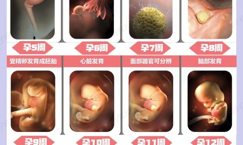哺乳期可以吃山楂水网 - 山楂产妇哺乳期可以吃吗,哺乳期可以吃山楂水吗会回奶吗